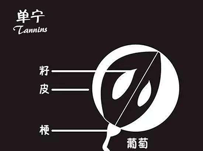 第一次知道单宁,红葡萄酒中的单宁你了解么