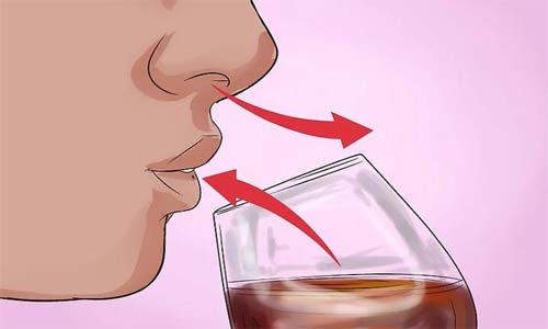 Drinking-method-of-brandy-7.jpg