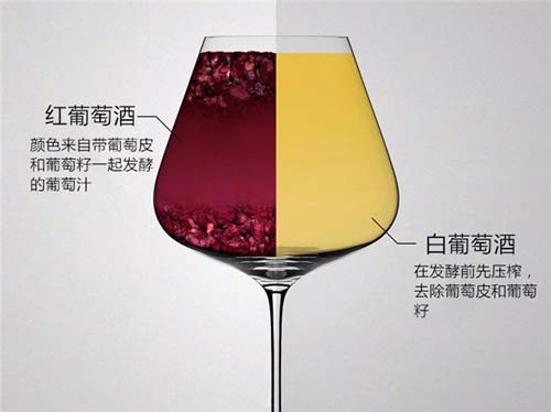 红葡萄酒与白葡萄酒差别在哪里