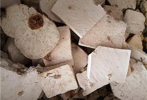 茯神--男人喝什么药酒好？强身健体的几种药酒