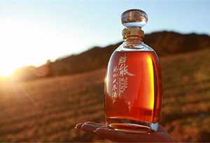 玛咖人参酒的功效和作用  