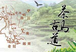 茶马古道与酒  