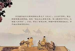 从简牍中探寻凉州葡萄酒的历史