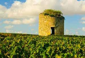 梅多克葡萄酒产区 – Médoc