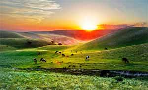 inner mongolia_内蒙古产区