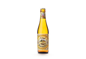 卡美里特(Karmeliet)