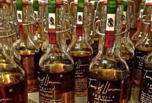 龙舌兰酒多少度？9种度数最高的龙舌兰酒8.jpg