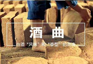 白酒通常用什么曲？曲酒和白酒的区别