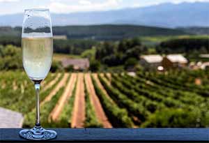 西班牙气泡酒Cava，法国香槟的强敌