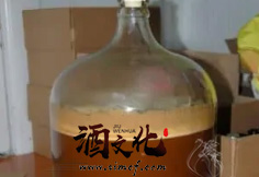 啤酒的发酵过程