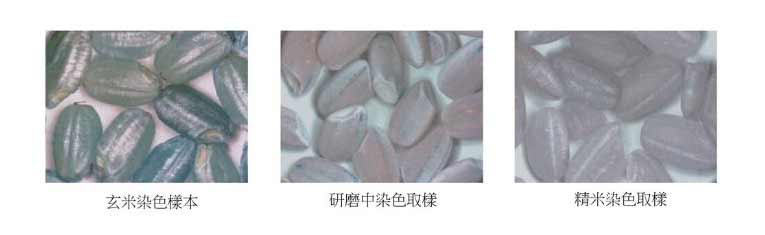 清酒酿造的独门技艺「精米步合」5.jpg