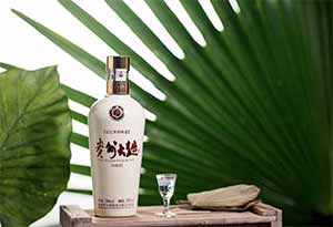 珍品王子和贵州大曲相比，哪个比较好喝？