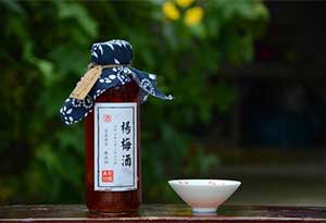 酿制杨梅酒的时候可以不加白酒吗？