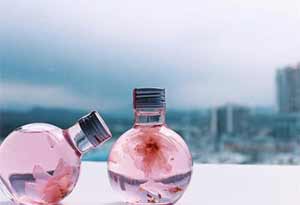 樱花酿的酒怎么样？ 