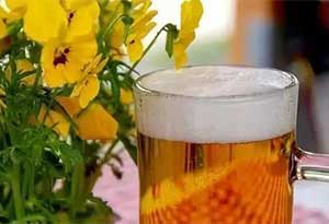 变质的啤酒能用来浇花吗? 变质的啤酒能用来浇花吗?0.jpg