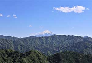 别以为日本只有啤酒、清酒，葡萄酒早有百多年历史 0.jpg