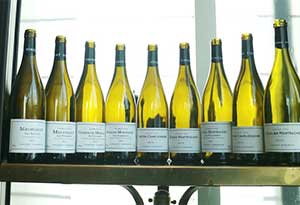 不是Chardonnay的BourgogneBlanc 不是Chardonnay的BourgogneBlanc0.jpg