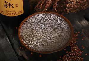 好酒就一定是纯粮食吗？0.jpg