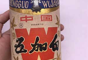 五加白酒怎么样？【一款很好的养生酒】