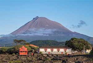 火山葡萄酒是什么？