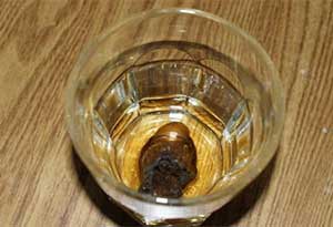 粪酒是什么酒? 粪酒是什么酒?0.jpg