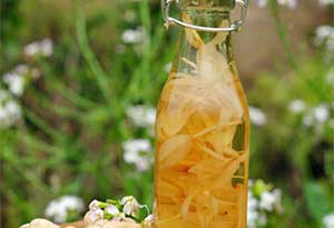 兰花能用来酿酒吗?兰花酒酿造方法 兰花能用来酿酒吗?兰花酒酿造方法0.jpg