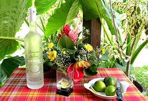 Ti’Punch-最道地的农业兰姆酒(RhumAgricole)喝法