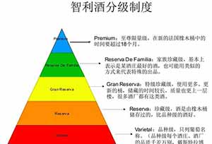 红酒怎么选？干红、干白、红酒、甜酒选购指南8.jpg