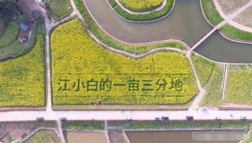 生产江小白的江记酒庄的酒文化介绍2.jpg