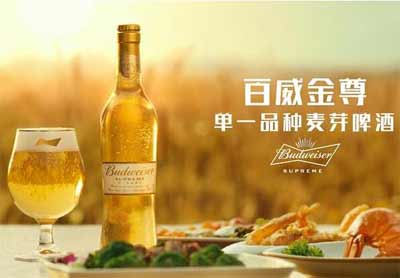 定位更高端的百威金尊啤酒，实际单一品种麦芽并没有想象中好喝1.jpg