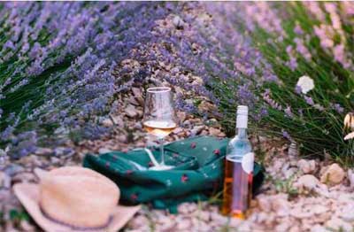 法国普罗旺斯葡萄酒产区，provence薰衣草花海搭配桃红酒太梦幻3.jpg
