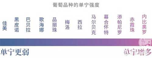 赤霞珠和西拉的区别，关键在于单宁质地和香料味的来源5.jpg
