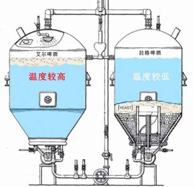 艾尔啤酒和拉格啤酒的区别是什么，最主要是酿造方式和成本不同2.jpg