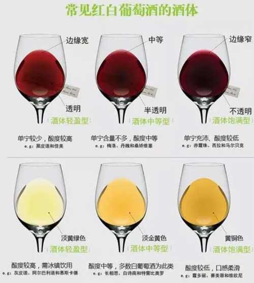 红酒口味有哪些种类，根据酸甜度和酒体厚重度来区分即可3.jpg