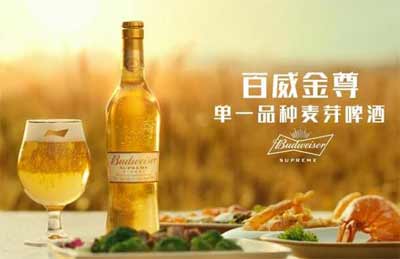 百威金尊啤酒的口感特点介绍2.jpg