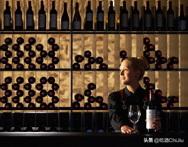 奔富红酒，为什么在中国这么流行？