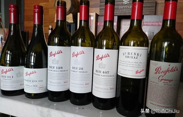 奔富红酒，为什么在中国这么流行？