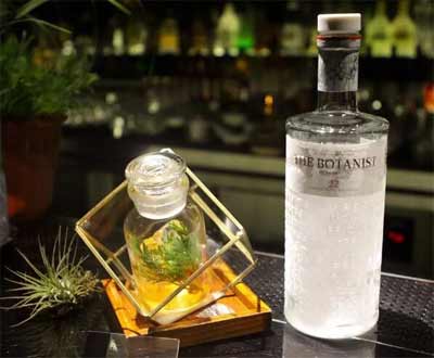 植物学家金酒怎么样，是公认非常值得纯饮的典型金酒