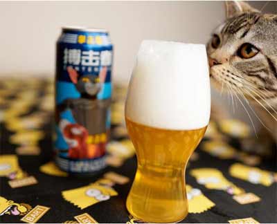 拳击猫精酿啤酒怎么样好喝吗多少钱一瓶，适合当口粮的入门款5.jpg