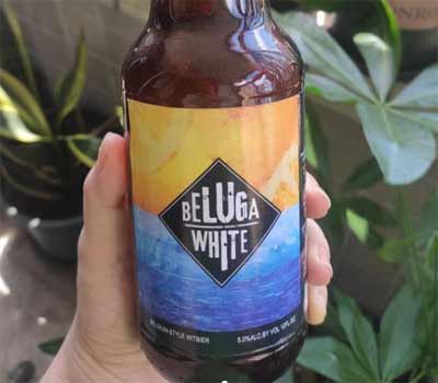 迷失海岸海鲸小麦怎么样，口感比福佳白熊更浓郁的比利时小麦啤4.jpg