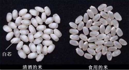 日本清酒是什么酿造的吗，专用酒米进行磨米之后酿制