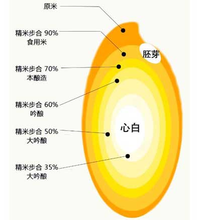 日本清酒是什么酿造的吗，专用酒米进行磨米之后酿制2.jpg