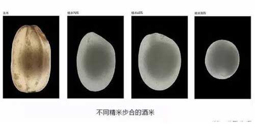 日本清酒是什么酿造的吗，专用酒米进行磨米之后酿制3.jpg