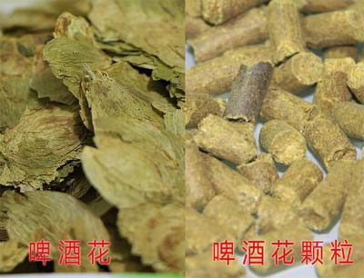 啤酒花含酒精吗，不含酒精也不产酒精主要提供香味物质和防腐2.jpg