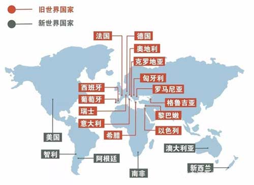 新世界葡萄酒国家有哪些，有什么特点