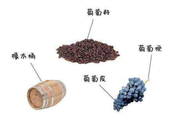 葡萄酒中的单宁越强越好吗，并不是需要达到风味平衡才更好喝