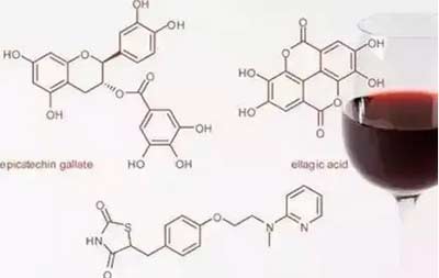 怎样识别葡萄酒发酵初期的有害乳酸菌