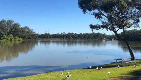 河地Riverland——澳洲葡萄酒产区一览2.jpg