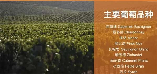 纳柏谷葡萄酒产区的详细情况2.jpg