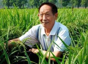 因侵权使用袁隆平院士姓名及肖像，某白酒企业被罚款3万元